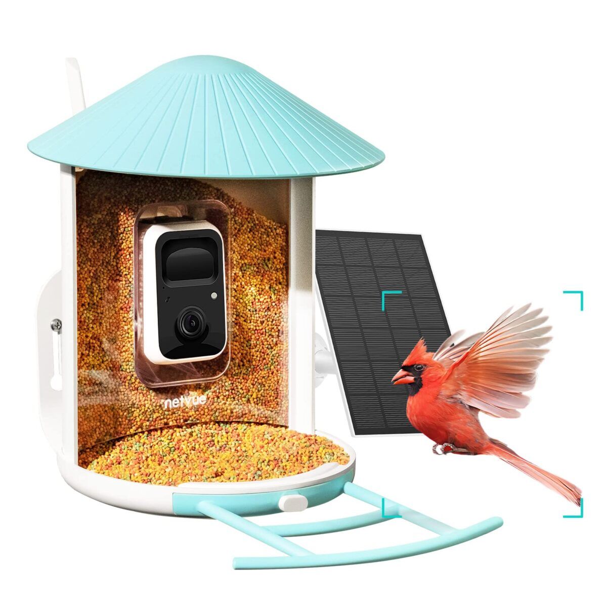 Upgrade Your Birdwatching: Get 34% Off on NETVUE Birdfy Lite - Smart